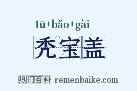 秃宝盖是什么意思的图片